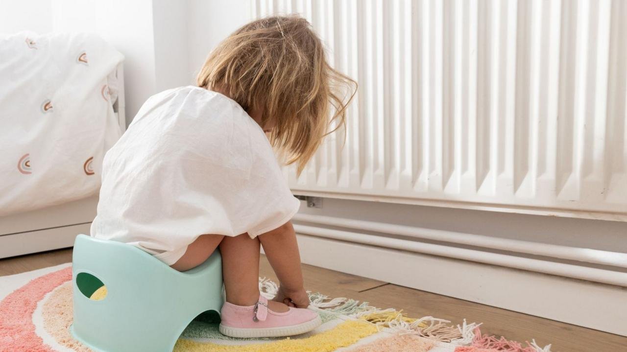 Potty training scheme to roll out to 20 more areas