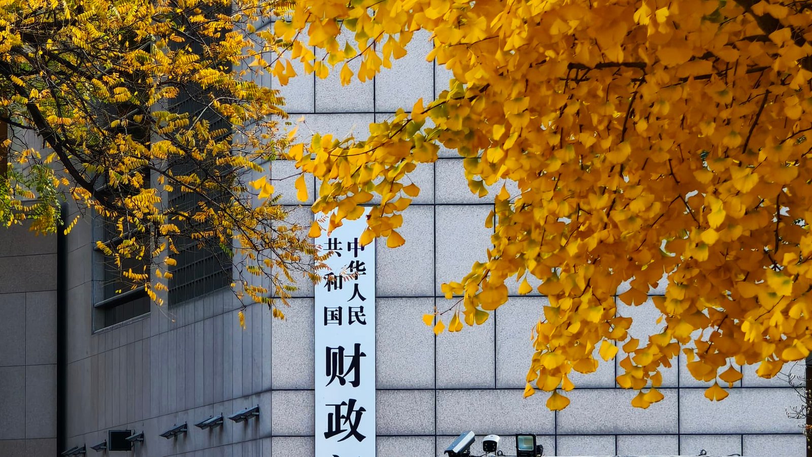 China's global hunt for tax revenue may be just getting started