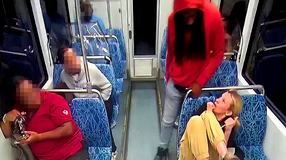 Iryna Zarutska's family files wrongful death lawsuit alleging no security guard was on train