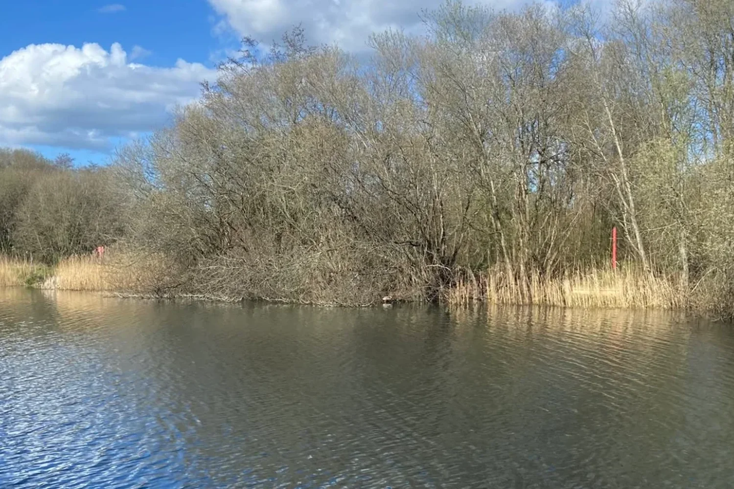 Five die in open water during record-breaking UK heatwave