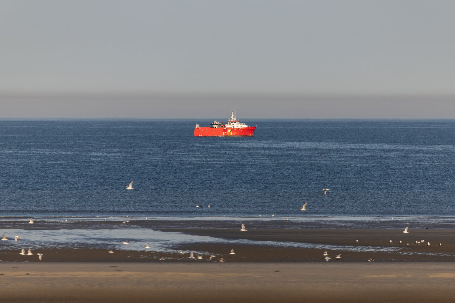 French launch rescue operation as 140 migrants attempt Channel crossing to UK