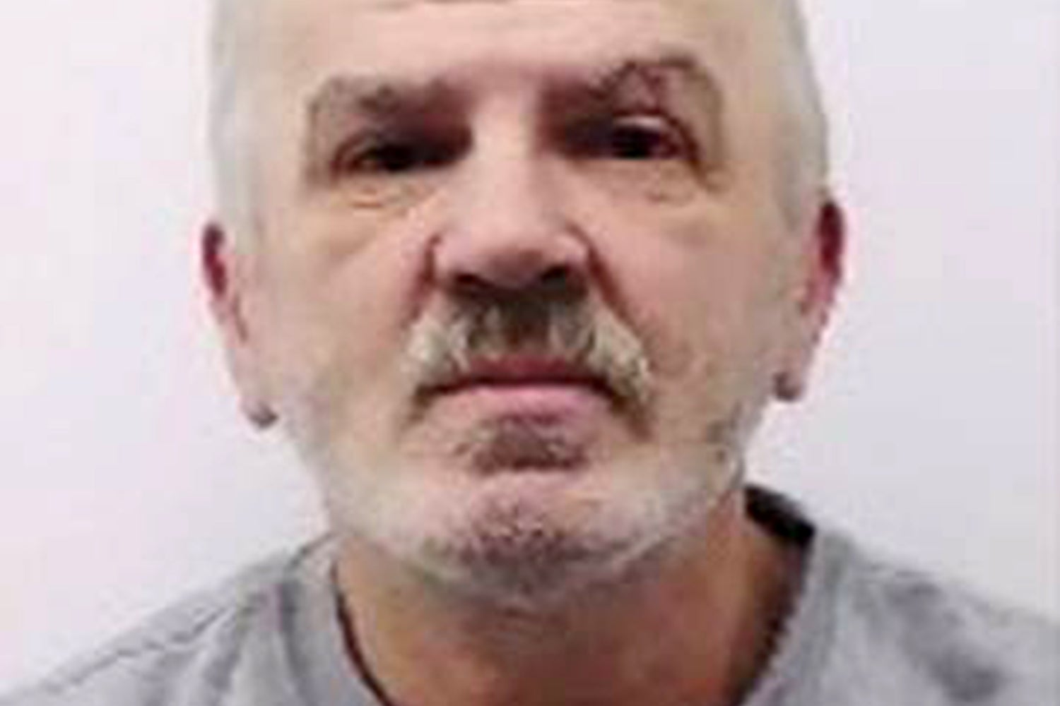 Illegal immigrant jailed for murder just years after being released from Romanian jail for ‘strikingly similar’ crime