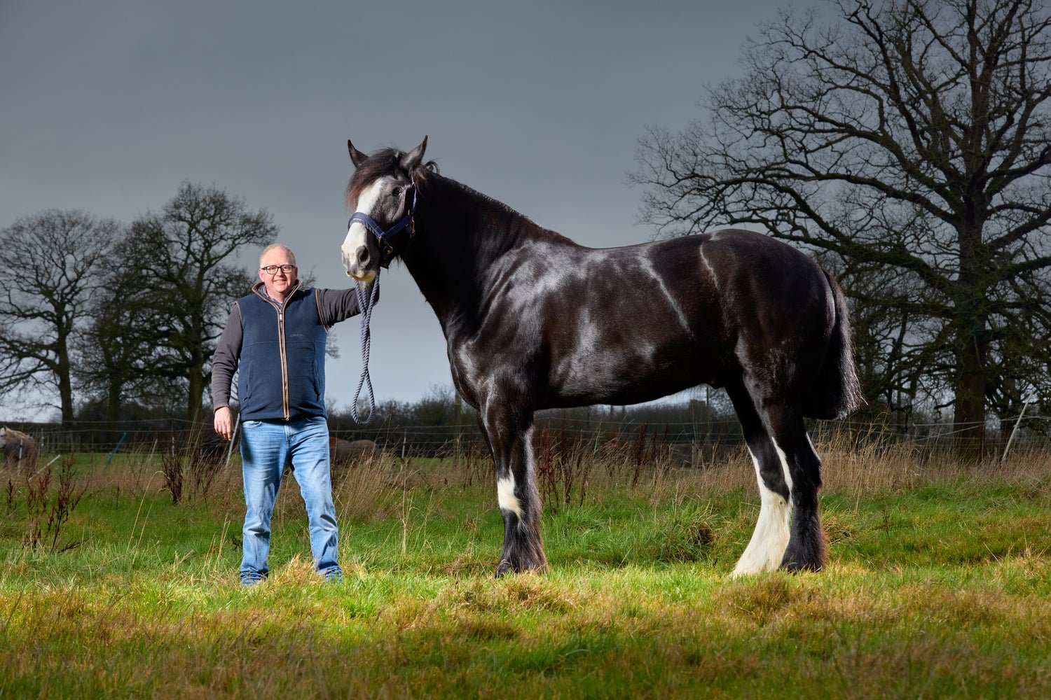 Hugo the 6ft 6in horse has been named the world’s tallest – and he’s still growing