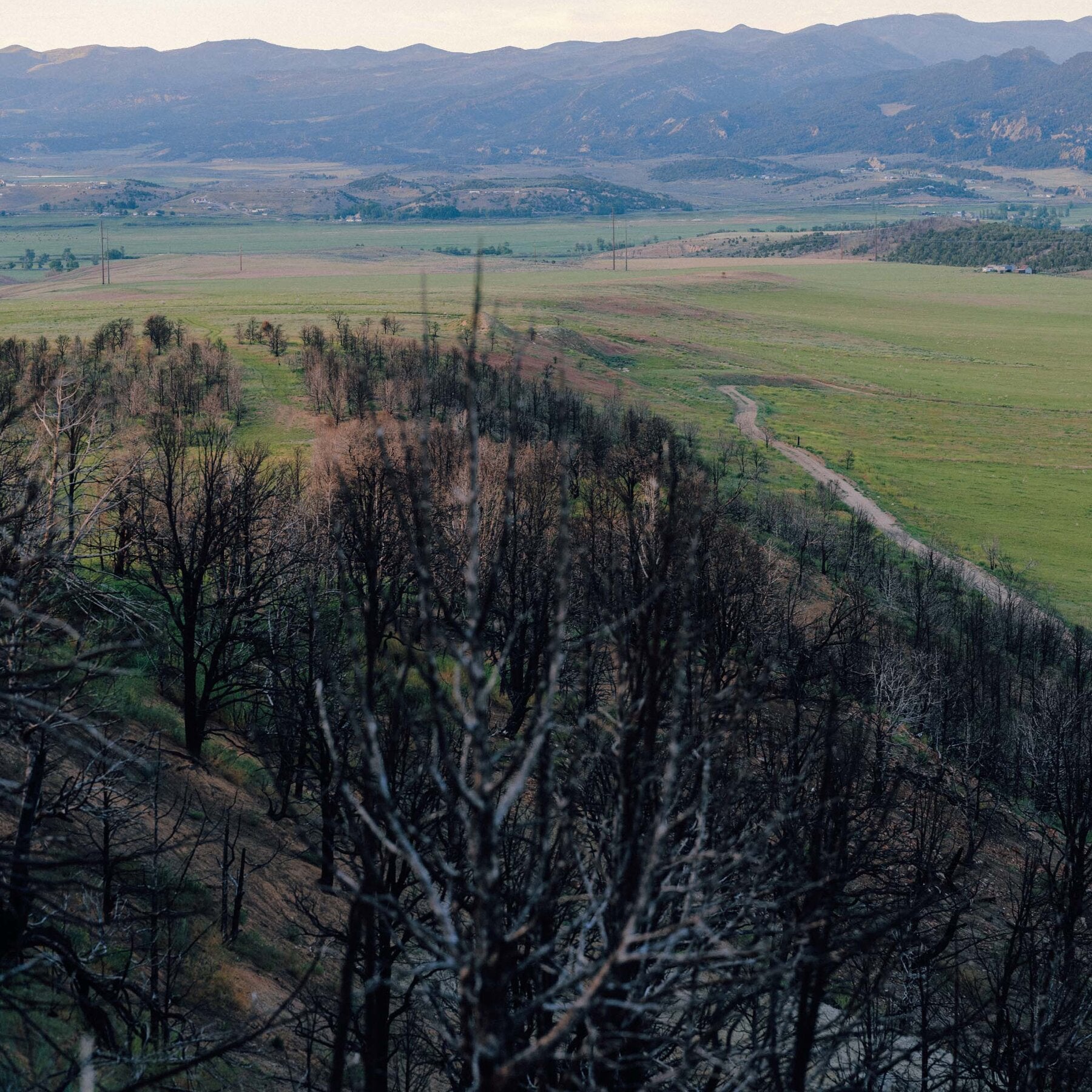 In Colorado, the Long Aftermath of a Fire Feels Political