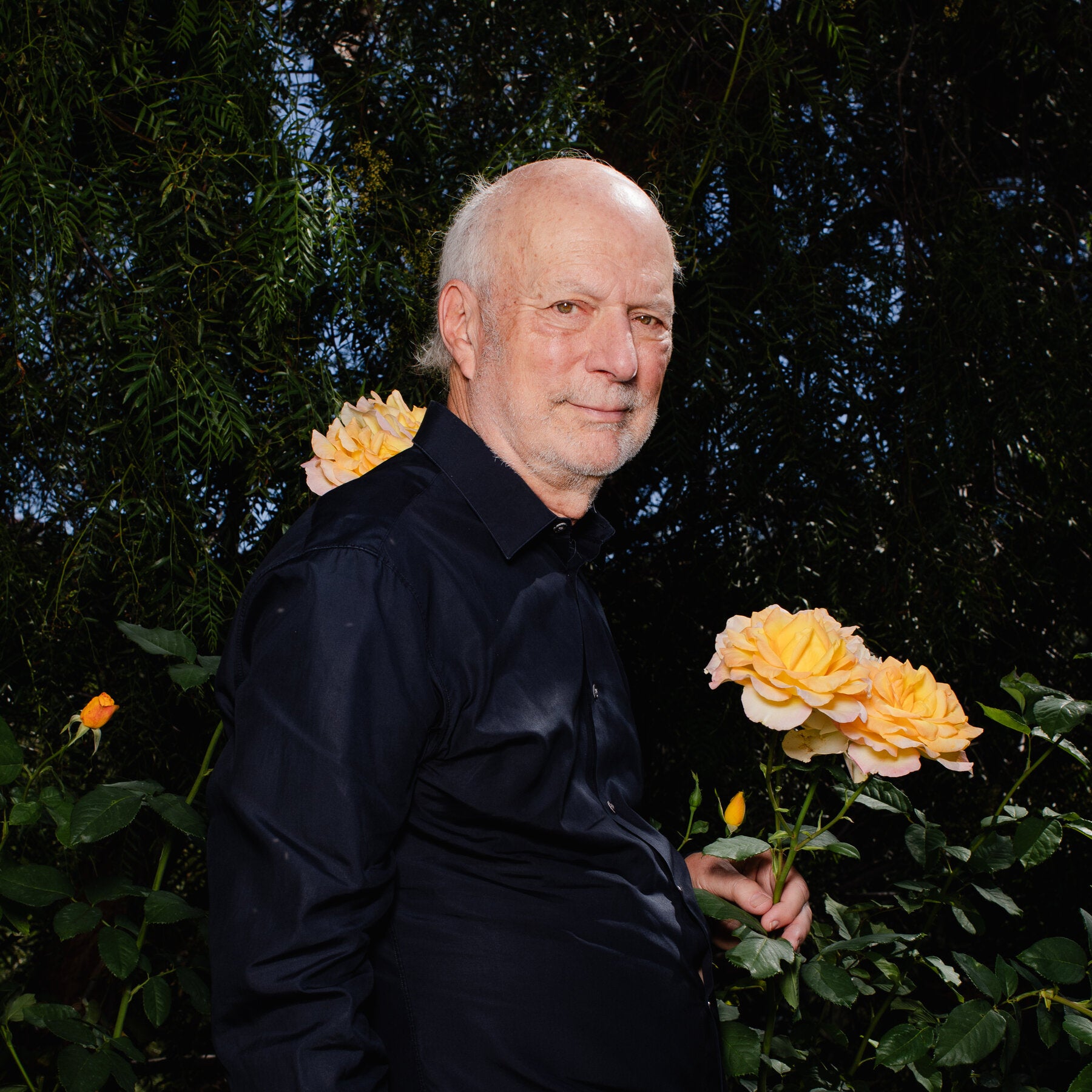 James Burrows, Master of the TV Sitcom, Dies at 85